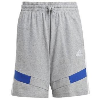 Short enfant adidas Short Shrt B Sh Cb Jr (grey)