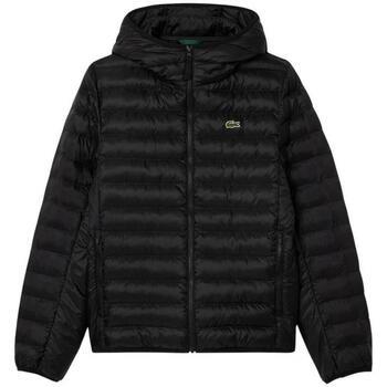 Manteau Lacoste -