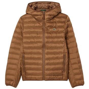 Manteau Lacoste -