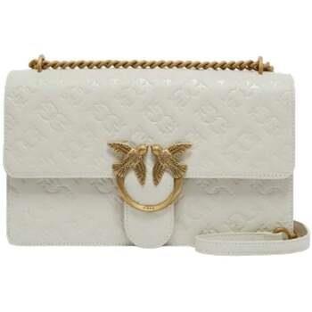 Sac Bandouliere Pinko -