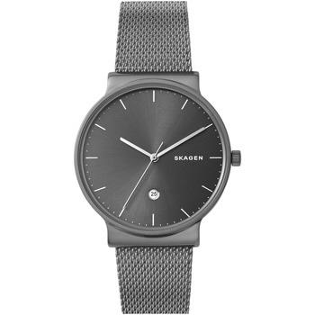 Montre Skagen Montre en titane