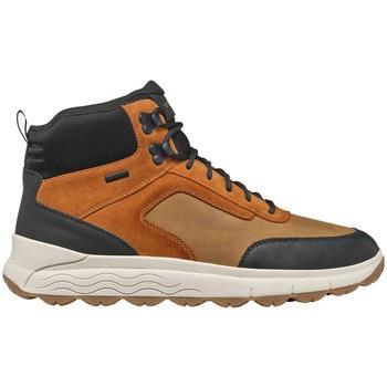 Boots Geox U Spherica 4X4 B Abx scarponcino