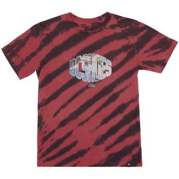 T-shirt DC Shoes Wes