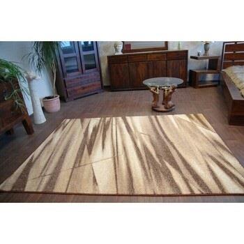 Tapis Rugsx Tapis KARMEL ARABICA marron 200x300 cm