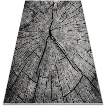 Tapis Rugsx Tapis SILVER TRONKO Arbre Bois - gris 240x340 cm