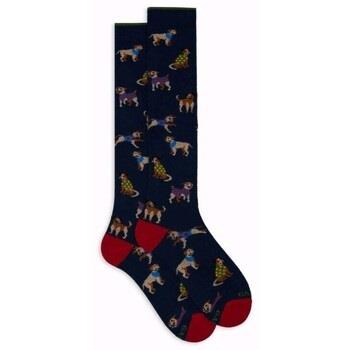 Chaussettes Gallo AP515283