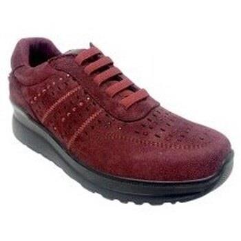 Chaussures Amarpies Chaussure femme 27000 ast bordeaux