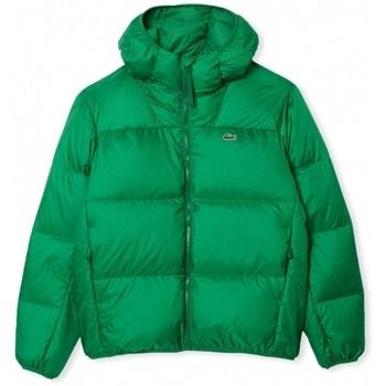 Manteau Lacoste Hooded Jacket BH2905 - Green