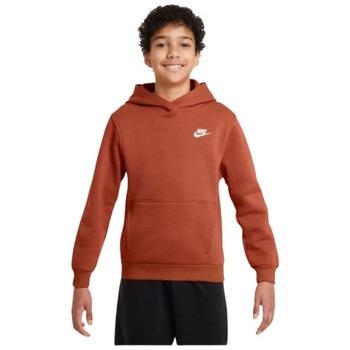 Sweat-shirt enfant Nike SWEATSHIRT K NSW CLUB FLC HDY LBR - VINTAGE /W...