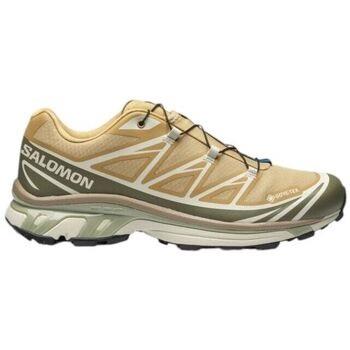 Chaussures Salomon Baskets XT-6 GTX Antelope/Icicle/Portabella