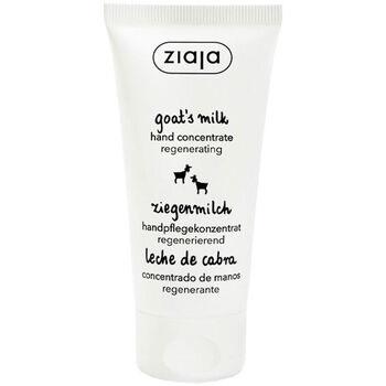 Soins mains et pieds Ziaja Crème Mains Concentrée Au Lait De Chèvre