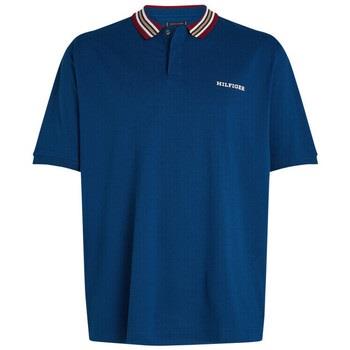 Polo Tommy Hilfiger 167781VTAH24