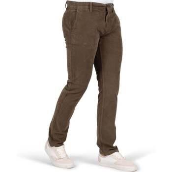 Pantalon Shilton Pantalon VELOURS