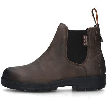 Bottines Shooters S19132-06