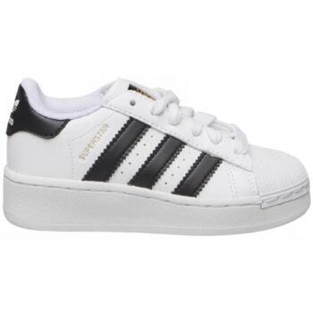 Baskets basses enfant adidas superstar_xlg_c