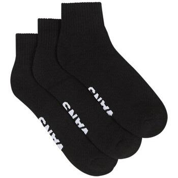 Chaussettes Vans 163399VTAH24