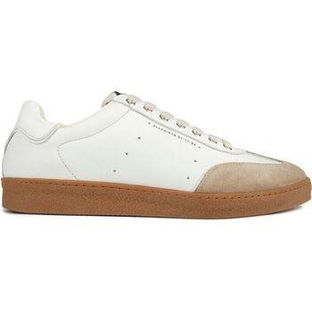 Baskets basses Allsaints Leo Low Top Formateurs