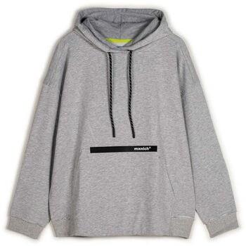 Pull Munich Hoodie space 2507321 Gris