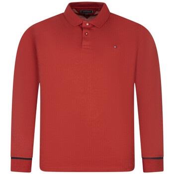 Polo Tommy Hilfiger 167775VTAH24