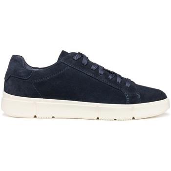 Baskets Geox U Prali sneaker in camoscio