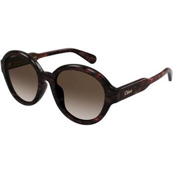 Lunettes de soleil Chloe CH0156SK Lunettes de soleil, Havana/Marron, 5...