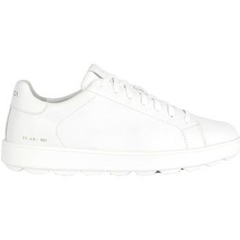 Baskets Geox U Spherica ECUB-1 sneaker