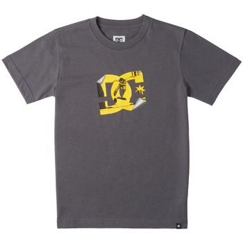 T-shirt DC Shoes Peel It Photo