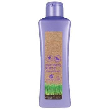 Shampooings Salerm Biokera Grapeology Shampoo