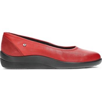 Ballerines Arcopedico DANSEURS 6695