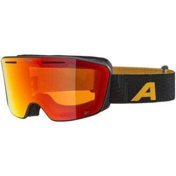 Accessoire sport Alpina -