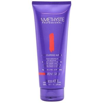 Soins &amp; Après-shampooing Farmavita Amethyste Colouring Mask-red