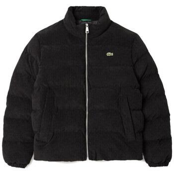 Manteau Lacoste DOUDOUNE MATELASSÉE EN VELOURS NOIRE