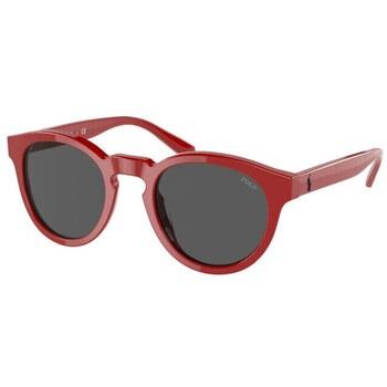 Lunettes de soleil Ralph Lauren Lunettes de soleil Homme PH4184-525787...