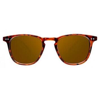 Lunettes de soleil Northweek WALL TORTOISE POLARISEES 1 u