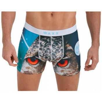 Boxers Waxx Boxer OWL