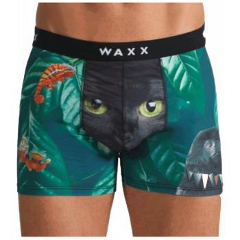 Boxers Waxx Boxer SWAMP