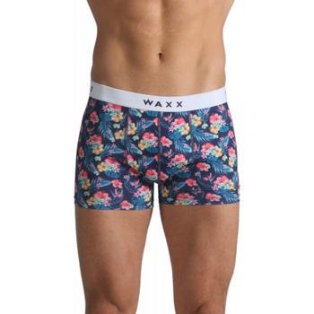 Boxers Waxx Boxer TROPICAL PARADISE