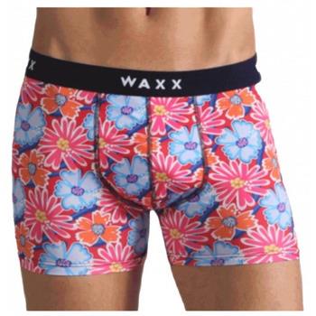 Boxers Waxx Boxer MOOREA