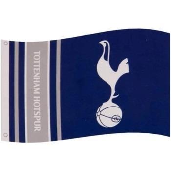 Accessoire sport Tottenham Hotspur Fc SG20000