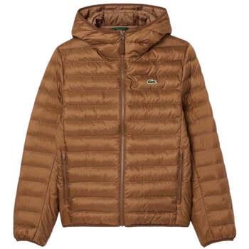 Blouson enfant Lacoste Piumino