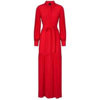 Robe Pinko -