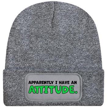 Chapeau Grindstore Apparently I Have An Attitude