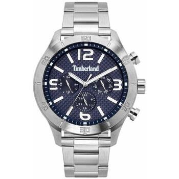 Montre Timberland Montre Homme TBL15358JS03M Argenté