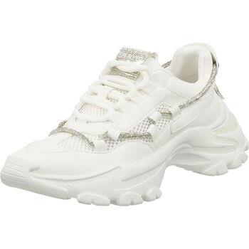 Baskets basses Steve Madden Sneaker