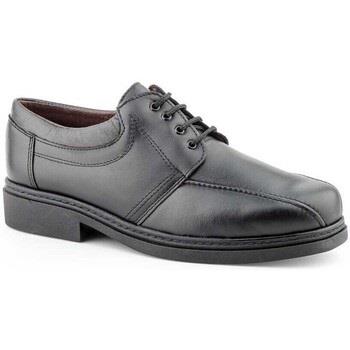 Derbies Iberico Shoes -