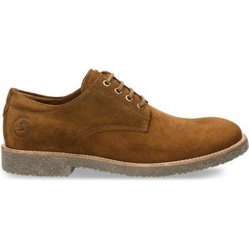 Ville basse Panama Jack Chaussures homme Gand