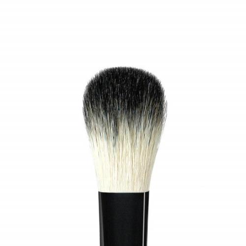 Anastasia Beverly Hills Brush A23