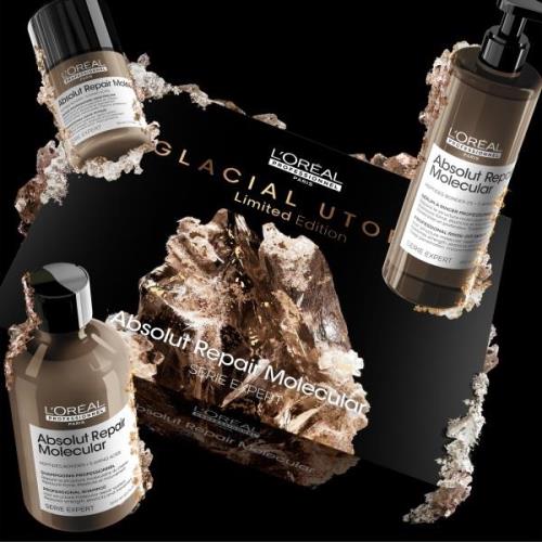 L'Oréal Professionnel Absolut Repair Molecular Trio Gift Set for Damag...