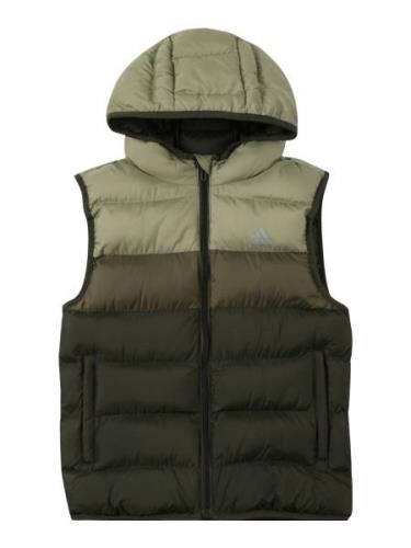 Sportbodywarmer