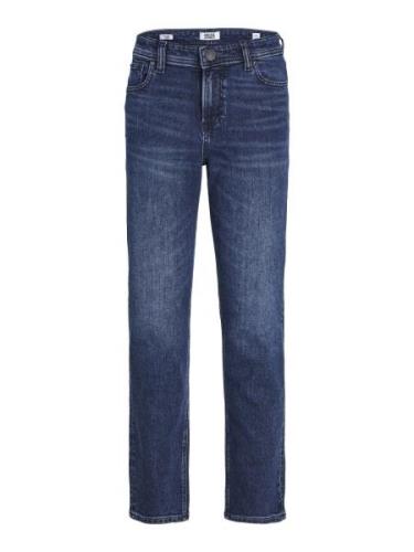 Jeans 'CLARK ORIGINAL AM 384'